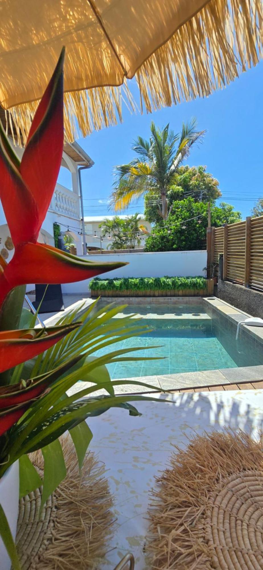 Lilie Location Langevin Villa Сен-Жозеф Екстериор снимка